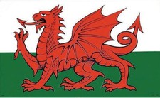 Stow Green 100% Cotton Welsh