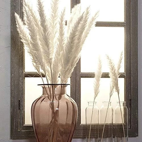 Pampas grass piece - pampas, natural