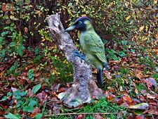 GREEN WOODPECKER By Vivid