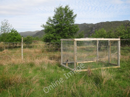 Photo 6x4 larsen trap - larsen, at