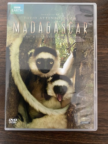 Madagascar david - 2011),