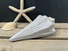 New Cream Glazed Porcelain