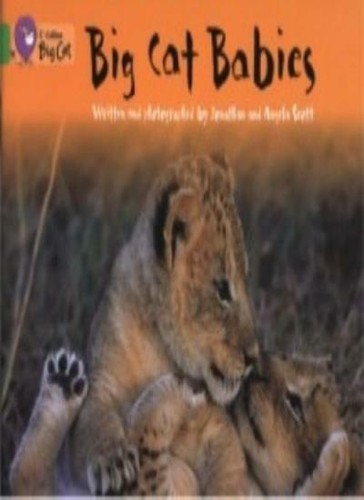 Big cat babies band - big,