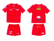 Scarlets Rugby Mini Kit Kid's Castore Home Mini Kit - New
