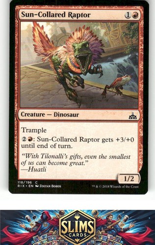Magic the gathering - gathering, mtg