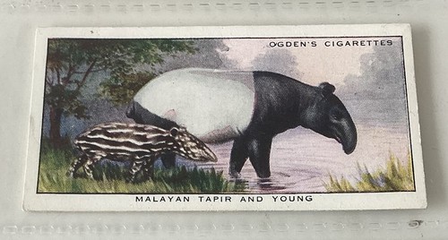 Ogdens 1932 colour nature - 1932,