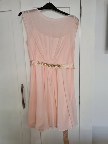 Nwt coast lori - lori, size