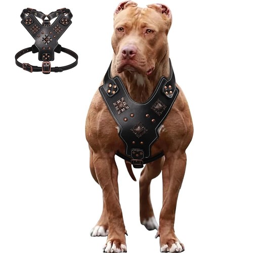 Genuine leather dog harness - genuine,