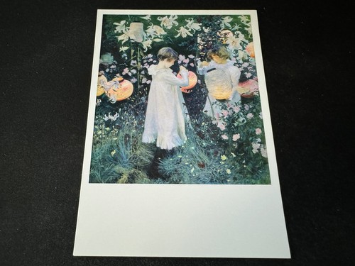Carnation lily rose - lily, john