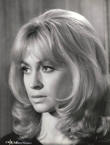 Suzy kendall 5 inch - 8.5",