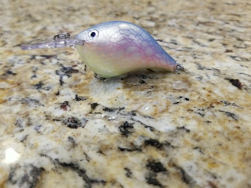 Custom painted rapala - rapala,