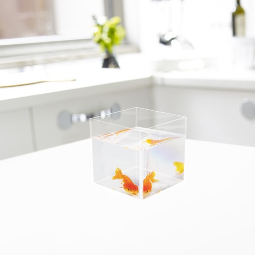 Transparent goldfish tank - transparent,