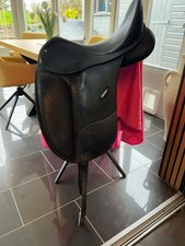 Isabel Werth 17" black