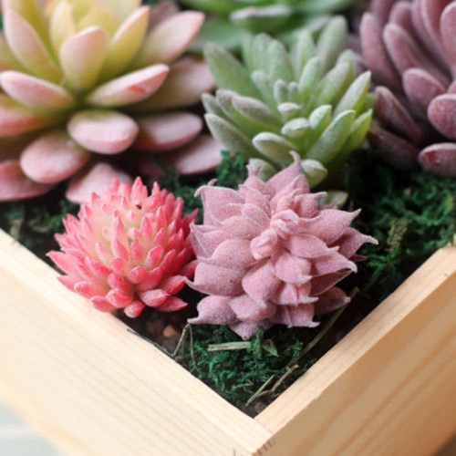 Garden home decor miniature - garden,