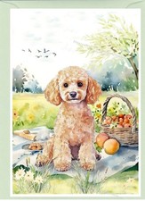 Poodle Apricot Dog Greetings