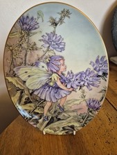 1998 Royal Worcester Flower Fairies - The Chicory Fairy Oval Plate -  75 Years