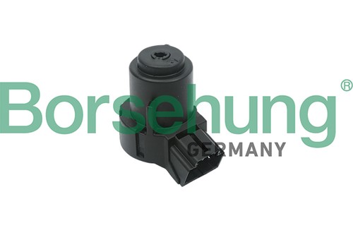 Fits borsehung b17994 ignition - fits,