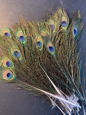 5pcs Natural Small Eye 20-25cm