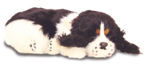 Precious petzzz breathing - -,