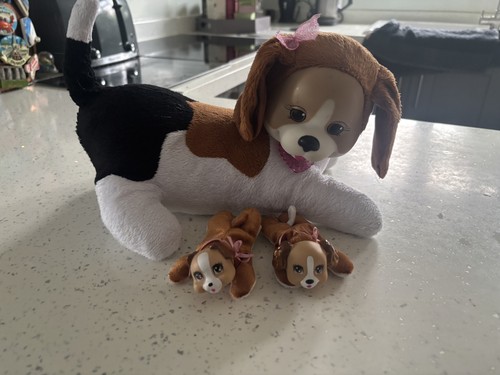 Puppy surprise misty mummy - misty, dog