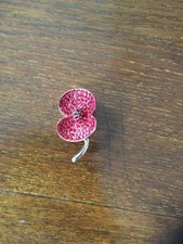 Large Buckley Crystal Red  Brooch in box with engraved memento on back 