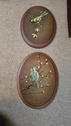 Basil ede vintage wooden - ede, bird