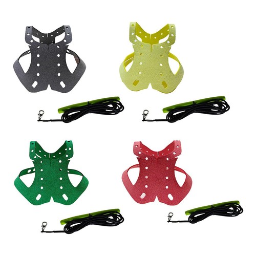 Pigeon harness and leash anti - pigeon, leash,anti