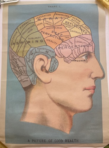Vintage phrenology poster a - phrenology, “a