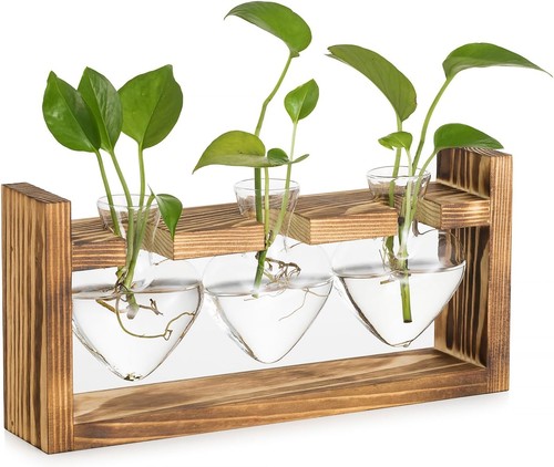 Glasseam glass propagation - glass,