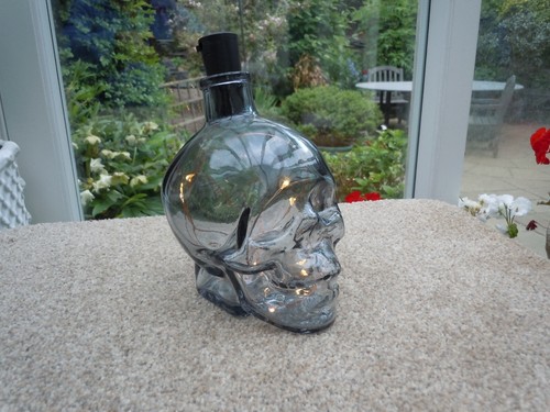 Glass skull led light - , bottle