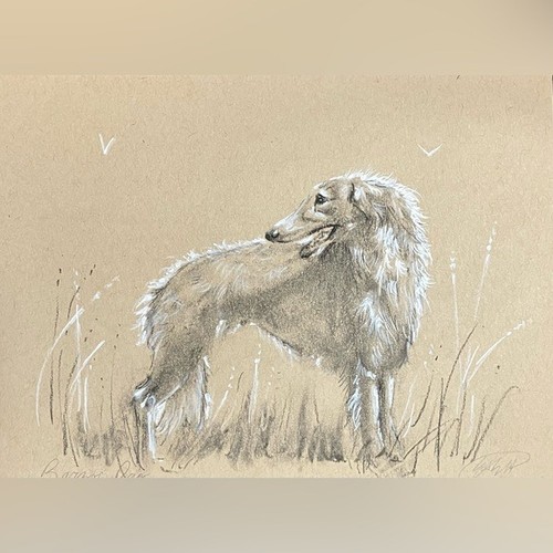 Original borzoi dog - original, painting