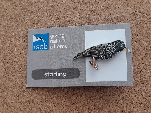 Rspb starling series gnah - starling,