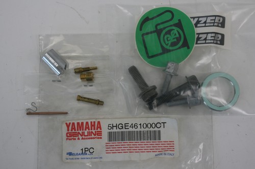 Catalytic kit for muffler - catalytic,