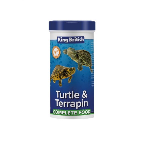 King british reptile turtle - king,