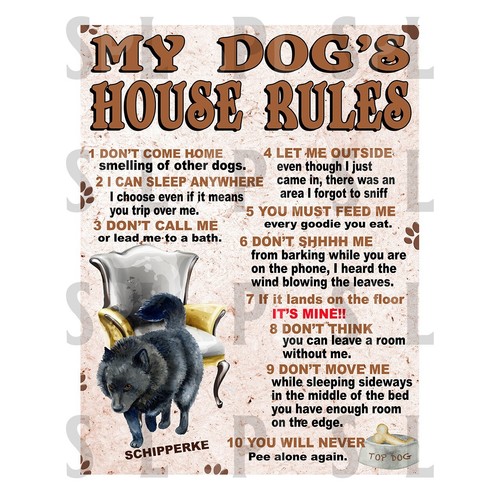 Schipperke dog house - dog's,