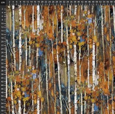 Fat Quarter Northcott First