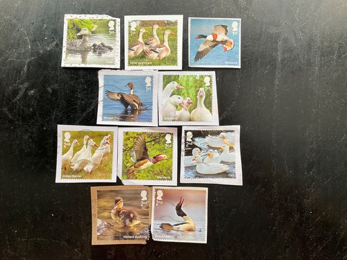 2025 stamps ducks postally - 2025,