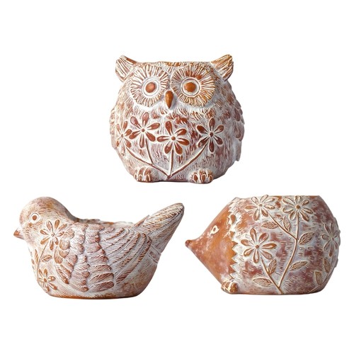 Cartoon flower pot - flower,