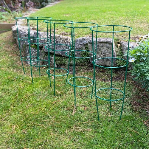 Metal conical garden plant - 5,