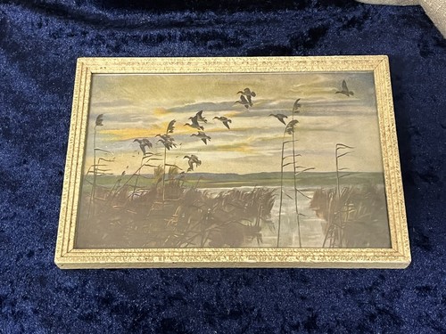 Peter scott print - peter,
