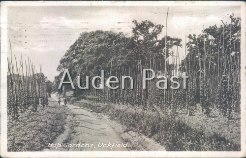 Hop gardens uckfield - gardens, sussex