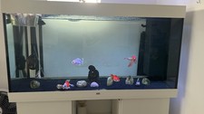 Aquarium Juwel Rio 350L and Loads of Equipments And essentials
