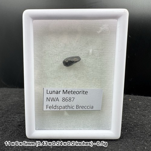 Nwa 8687 lunar meteorite - 8687,