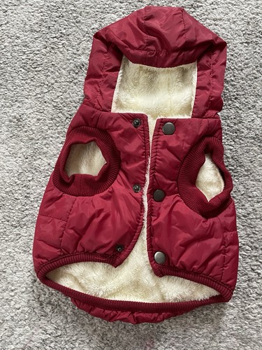 Cute little dog coat - cute,