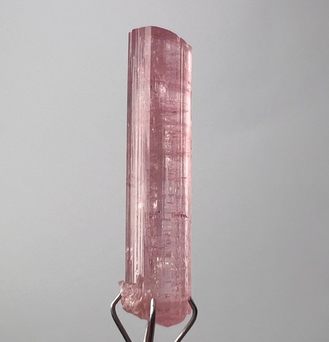 Carat beautiful - carat,