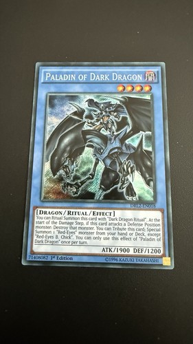 Paladin of dark - yu-gi-oh!,