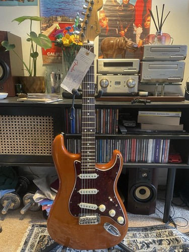 Fender player stratocaster mim - player,