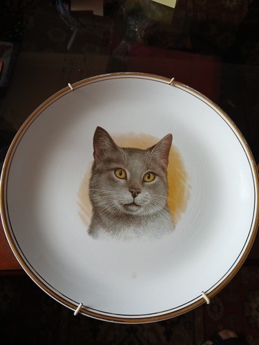 Royal tudor barker bros - royal, cat