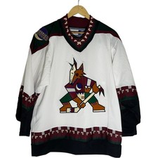 Phoenix Coyotes Kachina
