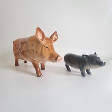 Royal Doulton Ceramic  Sow & Piglet .